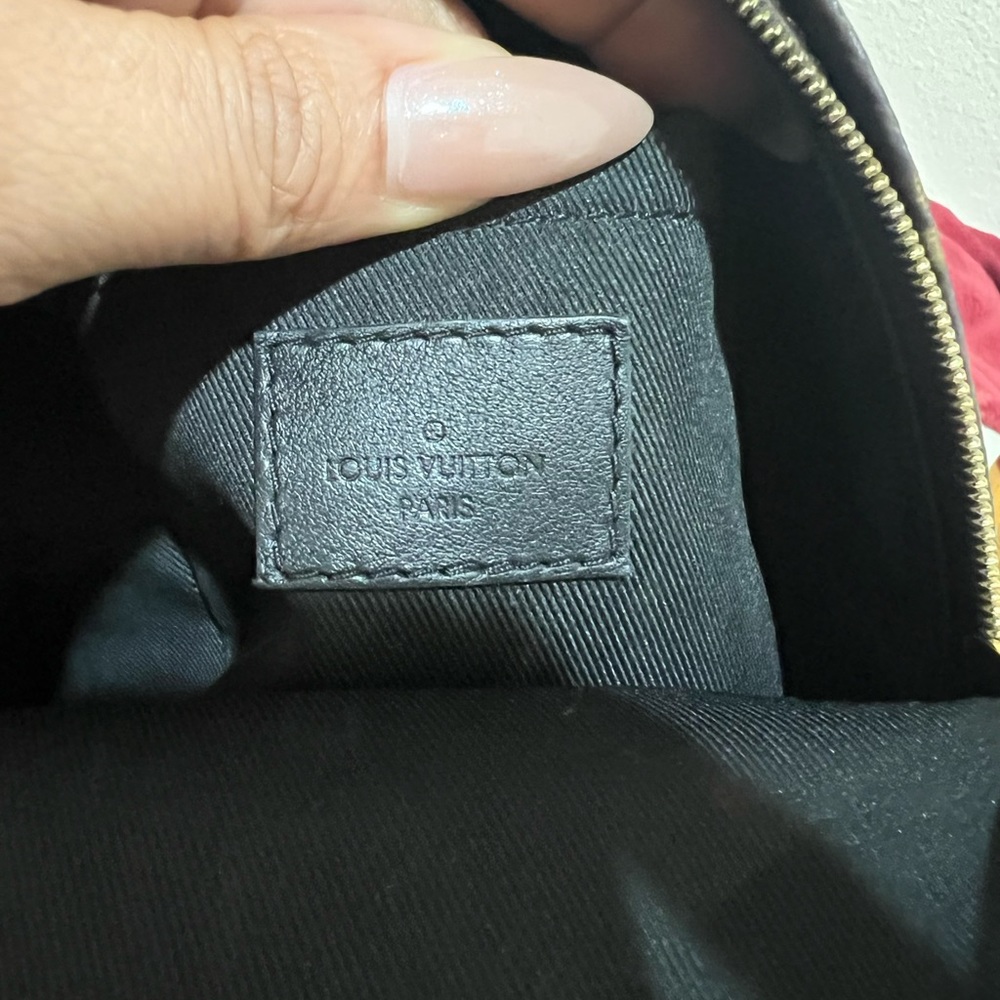 Louis Vuitton Palm Spring Mini - Picture 4 of 5